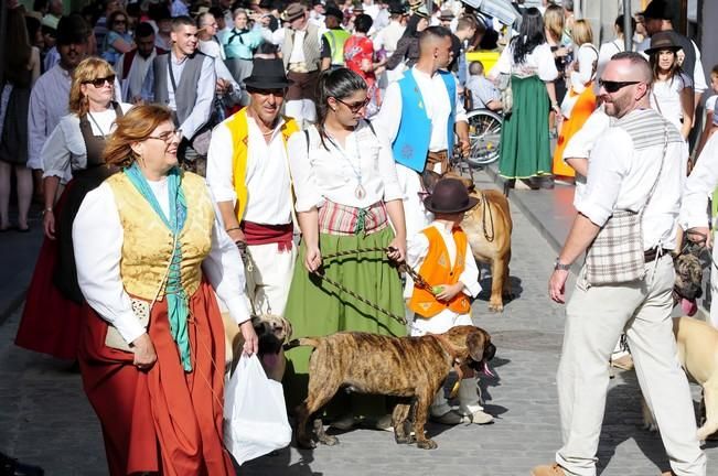 Romería de Santiago de Gáldar 2016