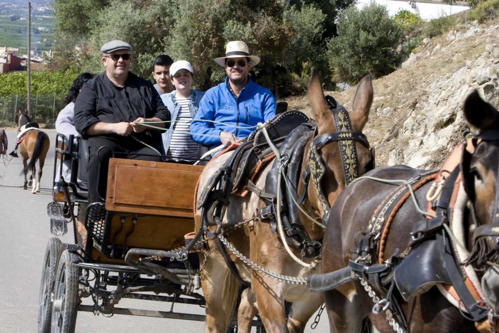 Romería a la ermita de Santa Anna de la Llosa de Ranes