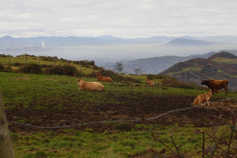 Contaminación en Asturias