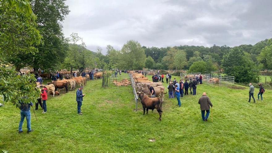 Esta es la localidad de Cangas de Onís que aspira a ser &quot;Pueblo ejemplar de Asturias&quot; 2024