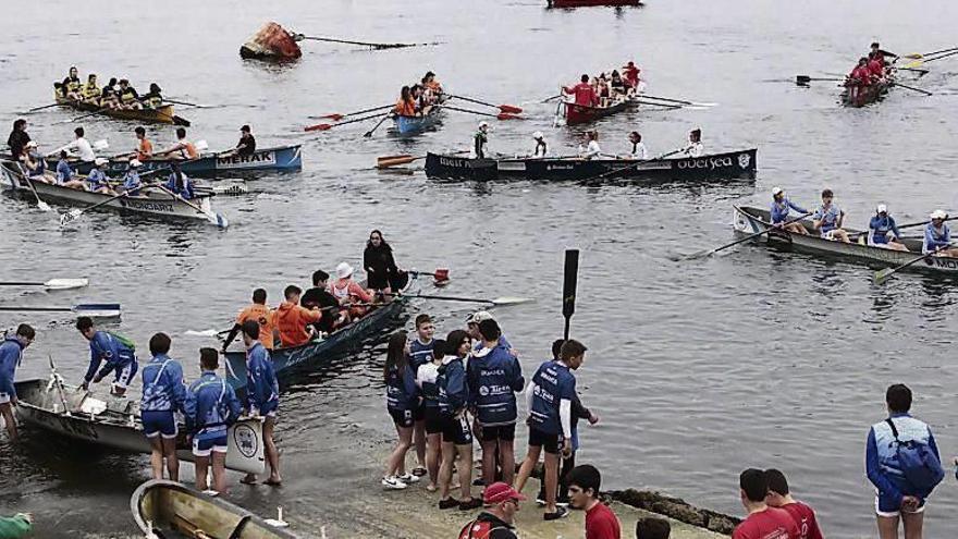 Los batales se agolpan en la orilla. // Santos Alvarez