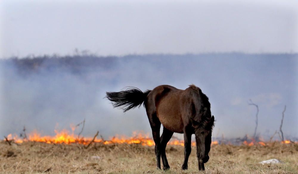 Incendis a Galícia