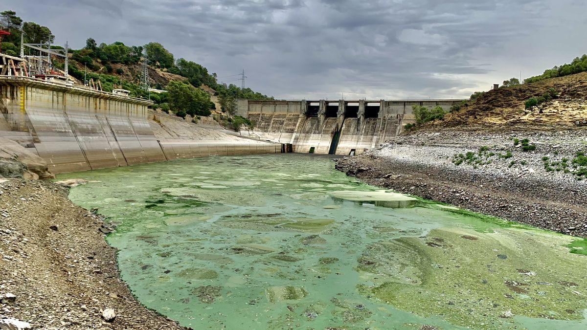 Estado de la cola del embalse de Alcántara en el extremo que alcanza la zona de Monfragüe, el pasado verano.