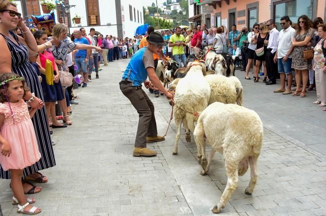 Fiestas de San ROQUE en Firgas