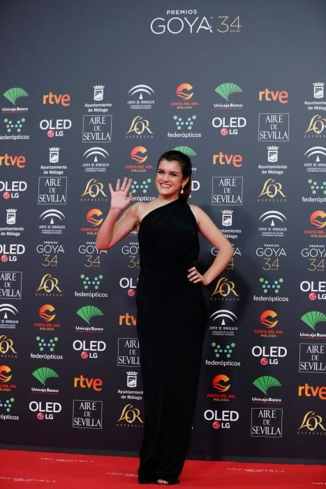 Alfombra roja de los Premios Goya 2020.