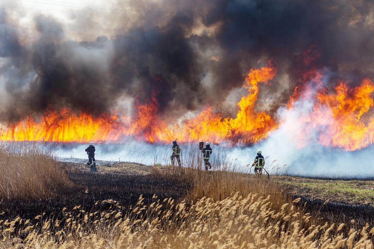 Los sistemas de vigilancia y prevención de incendios pueden ser mejorados