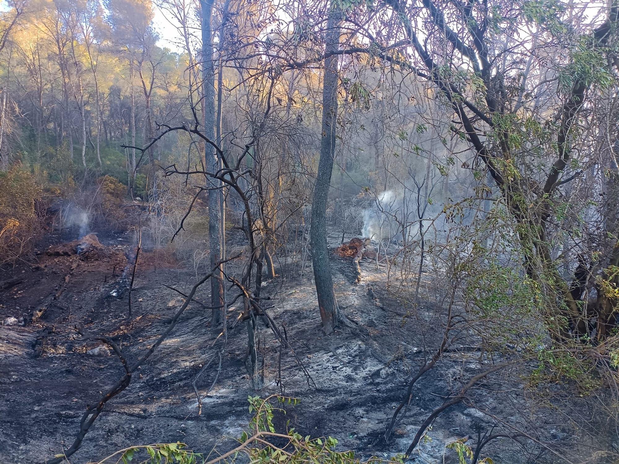 El incendio que amenaza el valle de la Murta, en imágenes