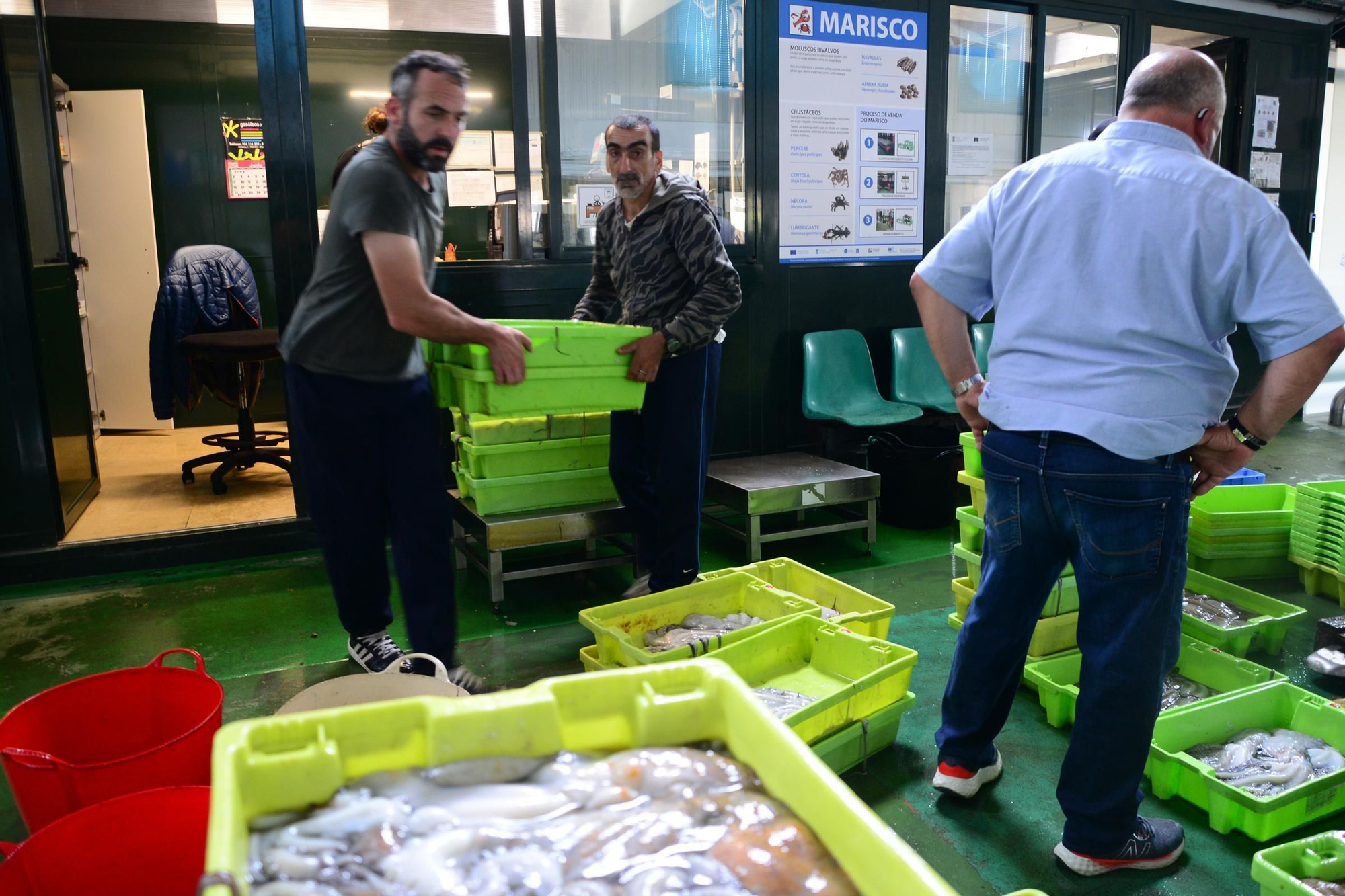 El inicio de la campaña del pulpo en el puerto de Bueu