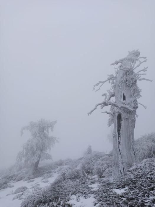 La Sierra de las Nieves se tiñe de blanco