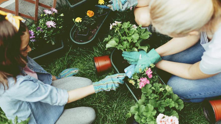 Cómo decorar tu jardín para verano