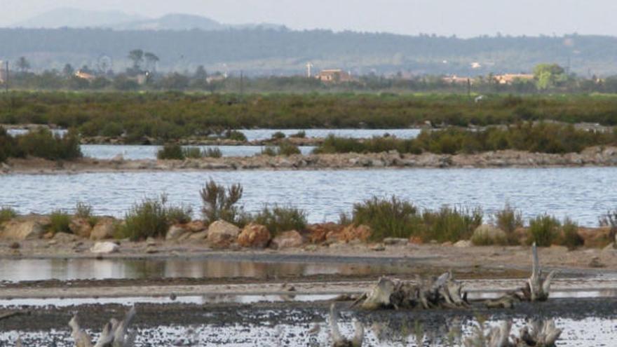 Las salinas, un paraje natural muy particular