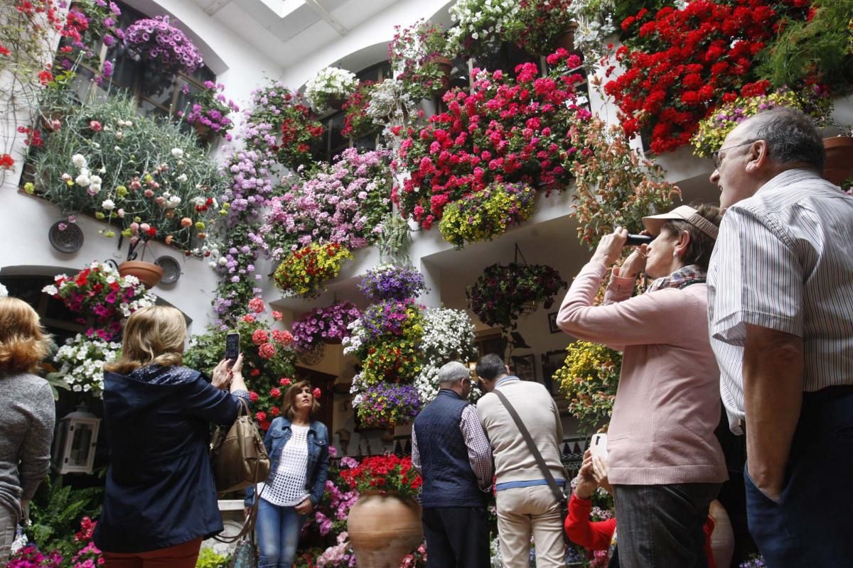 Los patios ganadores en imágenes