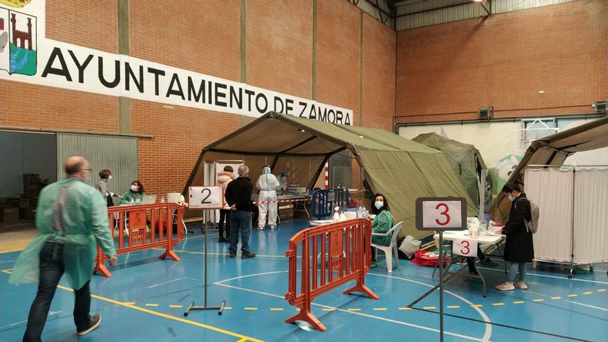 VÍDEO | Segunda jornada de cribado masivo en Zamora capital