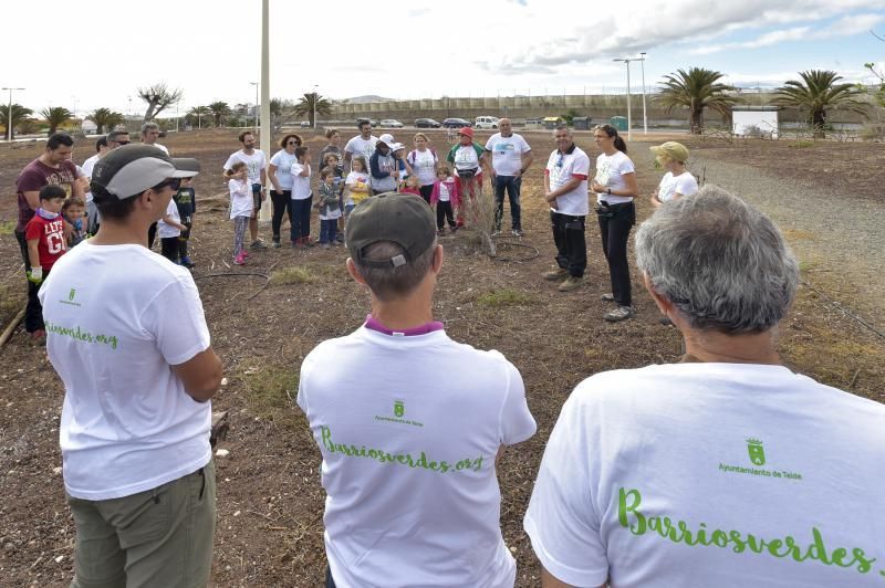 24-11-2019 TELDE. Plantación para nuevo jardín en un terreno junto a la rotonda de la playa de Melenara  | 24/11/2019 | Fotógrafo: Andrés Cruz