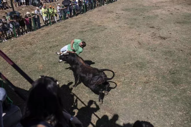 Así ha sido la espectacular cogida en el encierro de Venialbo