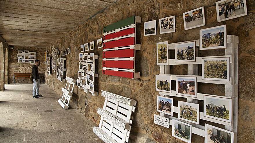 Paneles de fotografías instalados en los soportales. | Jose Luis Fernández