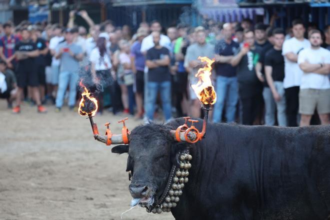 Fotogalería I Embolada de un Cebada Gago en las fiestas de Sant Pasqual de Vila-real