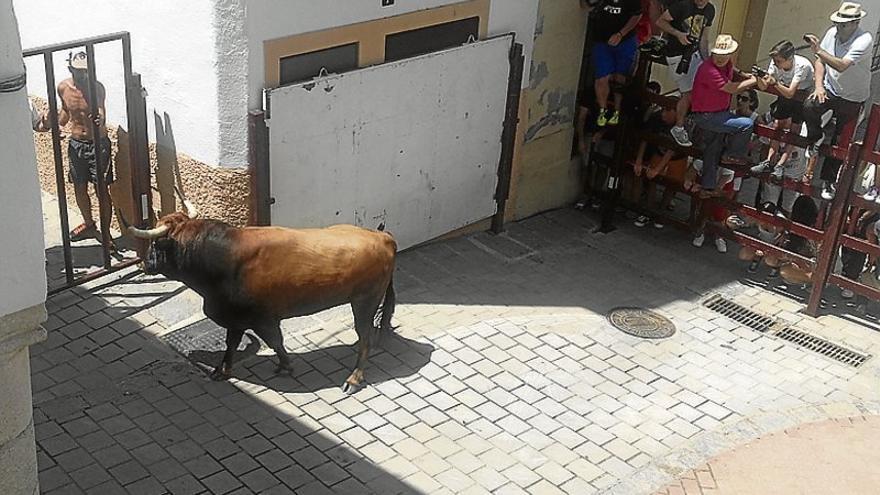El abanderado de San Juan en Coria alaba la calidad de los toros