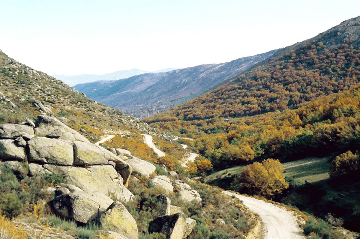 Garganta de la Huerta, Navalacruz
