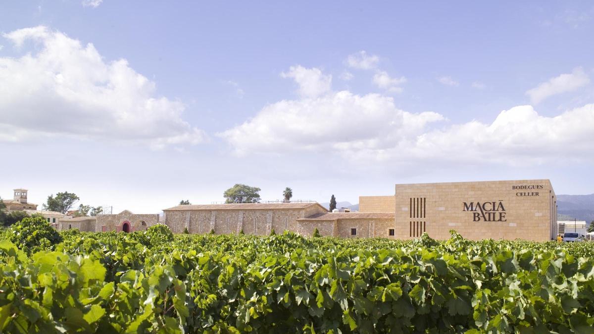 Macià Batle, bodega con sede en Santa Maria del Camí