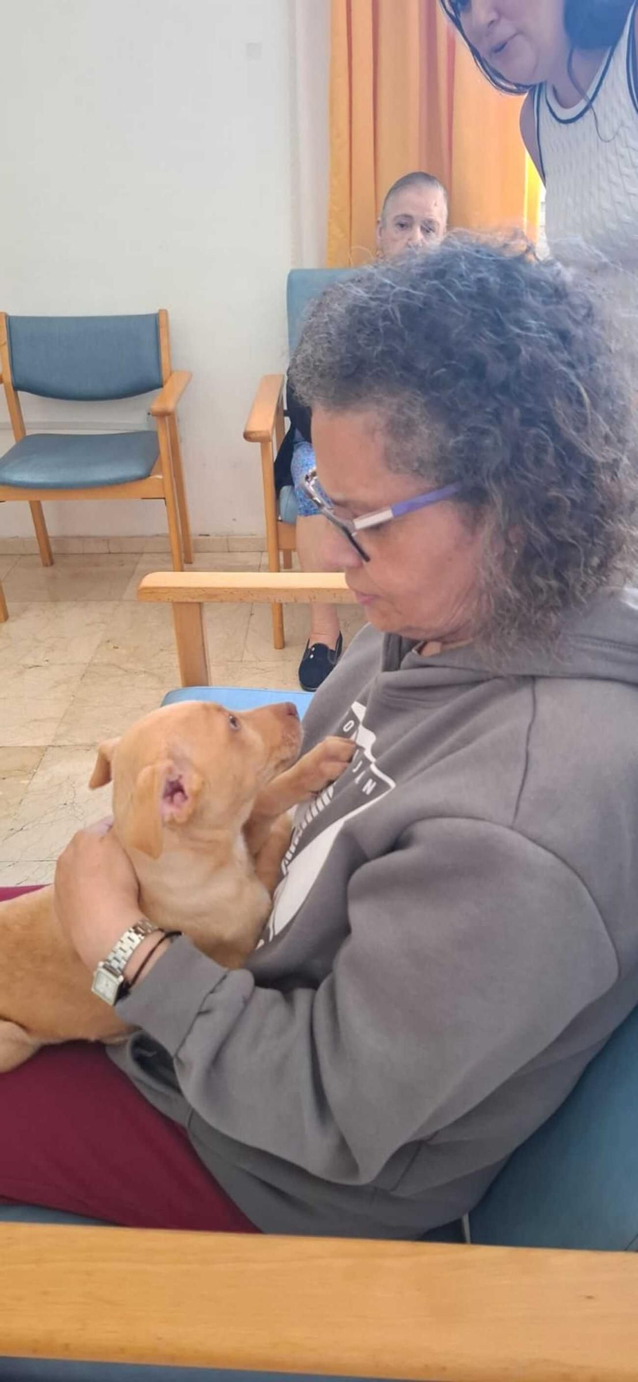 Arrugas con huellas: proyecto con mascotas abandonadas en centro de mayores