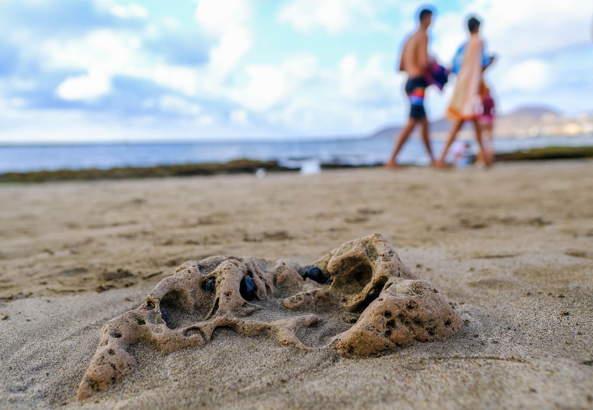 Playas fósiles de Las Canteras