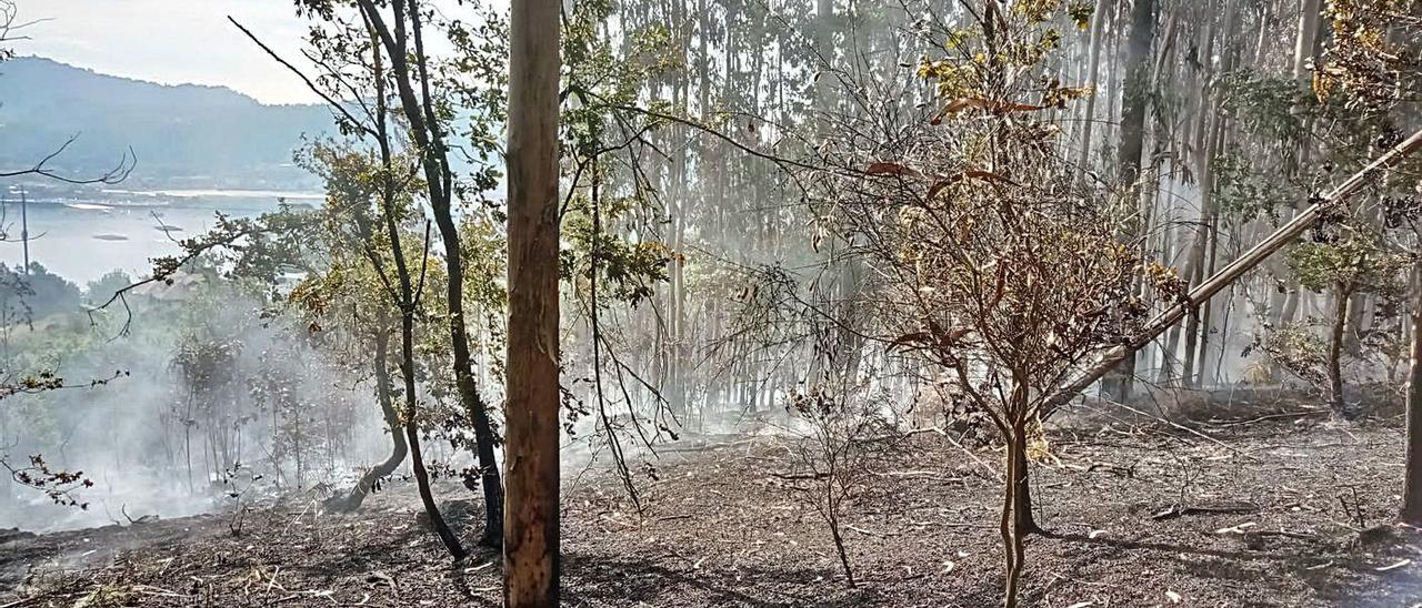 Imagen de la zona del incendio tomada ayer a mediodía por efectivos municipales.   | // FDV