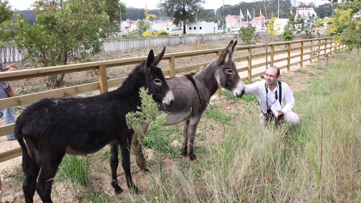 Francisco Meis acaricia a &quot;Emilia&quot; el día que llegó a la isla, en septiembre de 2011.