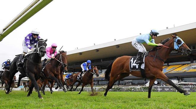 El Jockey Tim Clark conduce a Paz Positiva a la victoria en la carrera 8, el Jim Beam Emancipation Stakes, durante el día de apuestas en el hipódromo de Rosehill Gardens en Sydney, Australia.