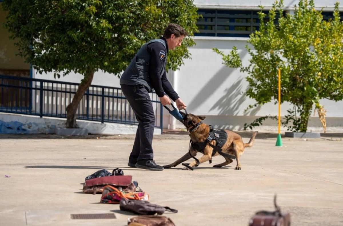 Unidad canina de la Policía Local de Mérida.