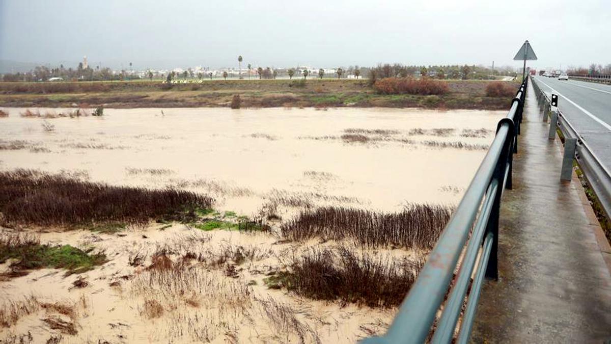 El Guadalquivir, a su paso por la localidad sevillana de Lora del Río por los efectos de la borrasca Joseph.