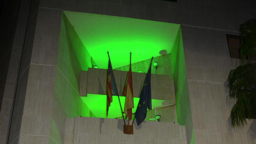 Los participantes en la campaña local, con el Ayuntamiento de Paiporta iluminado de verde.