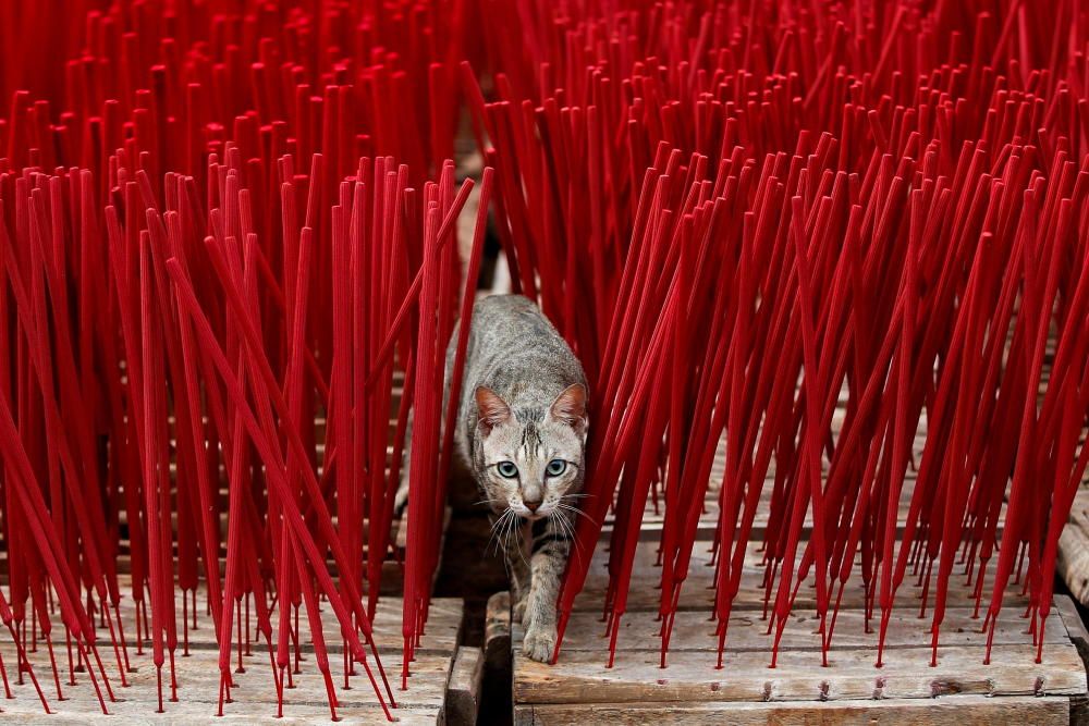 Incense factory ahead of the Chinese Lunar New ...