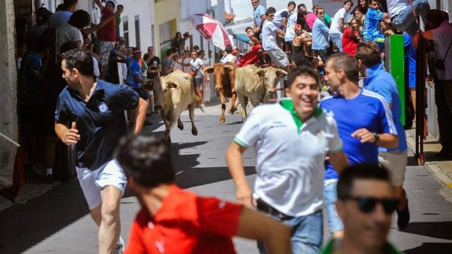 Multitudinario comienzo de los encierros de El Viso