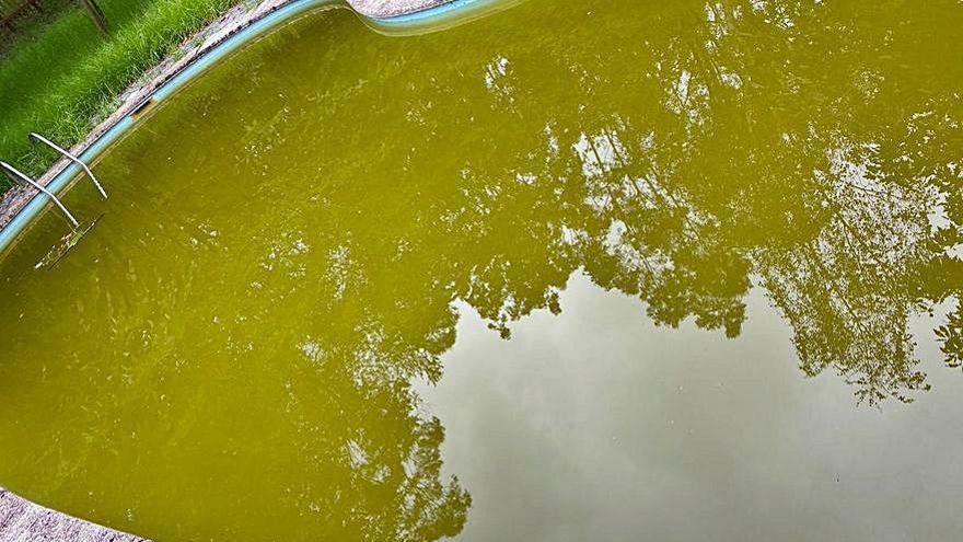 Agua estancada en la piscina recién arreglada.