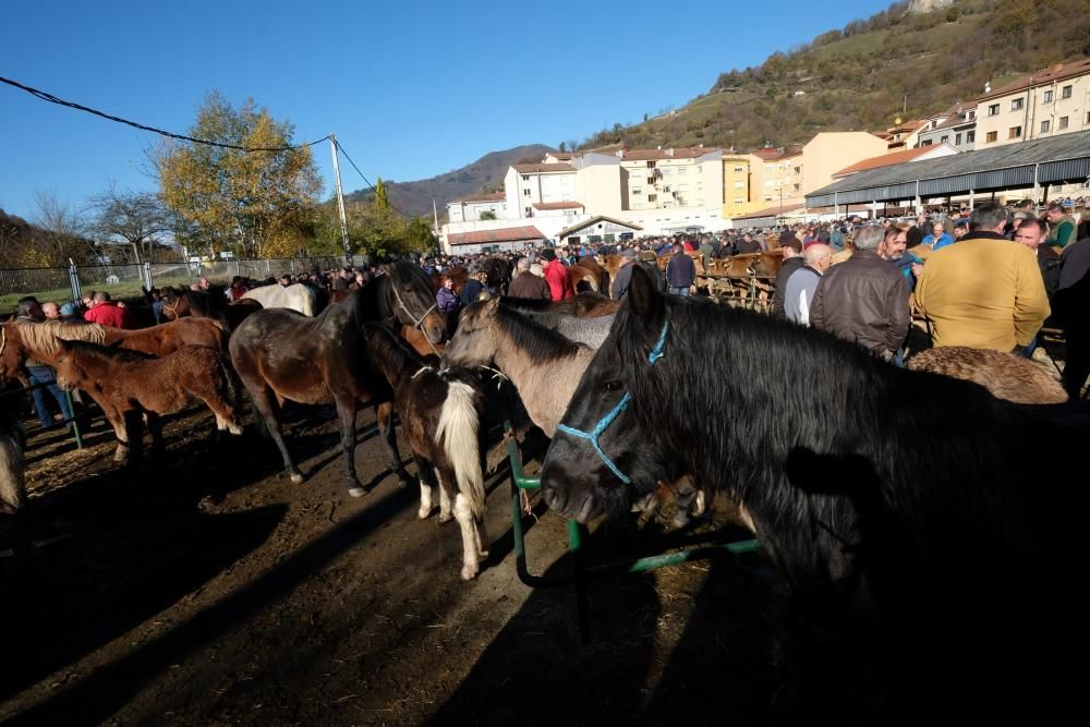 El "mercaón" de Cabañaquinta