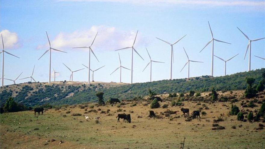 CHA pide consenso para llevar a cabo la reconversión energética