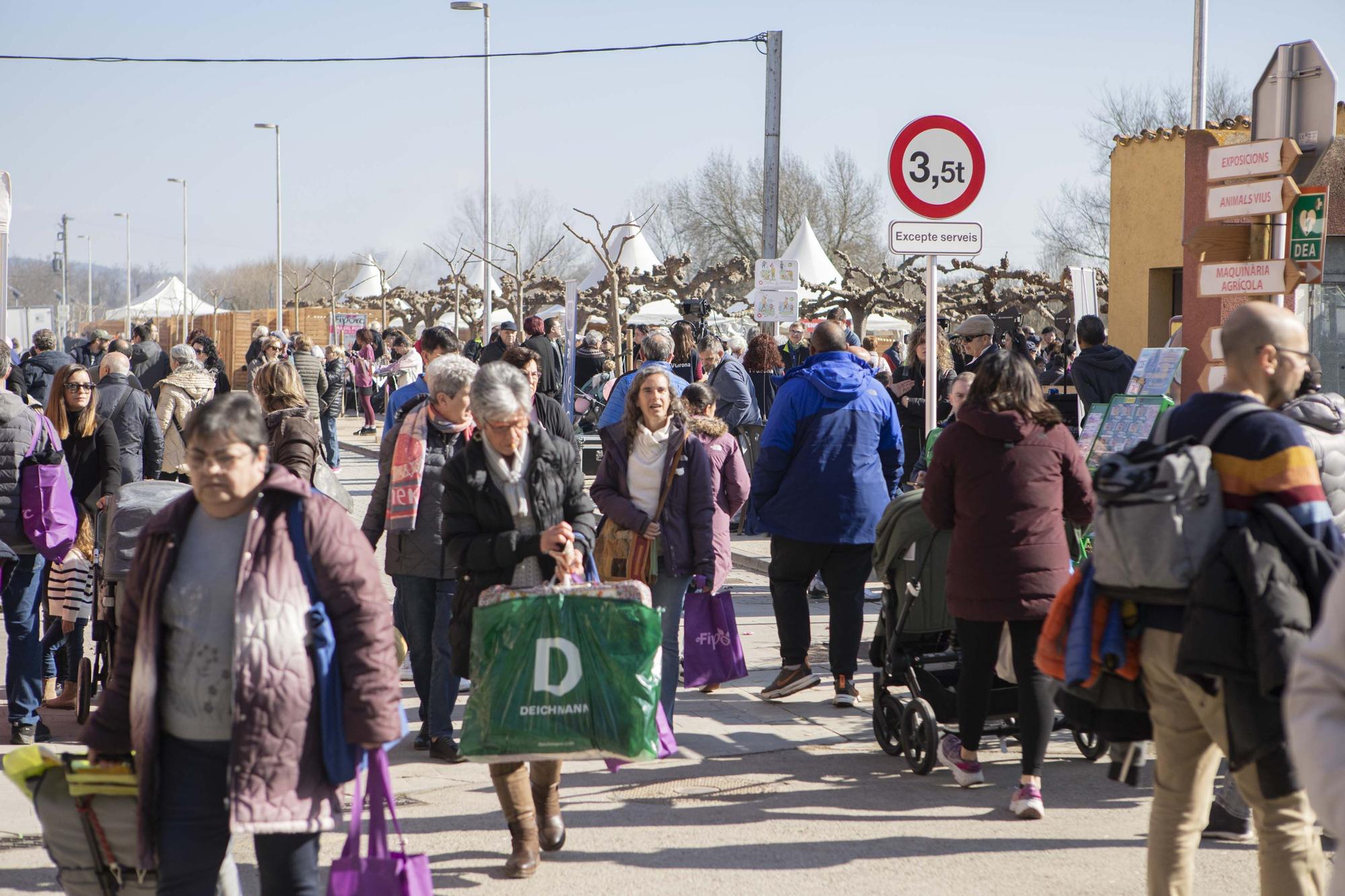 Les millors imatges del FIPORC de Riudellots