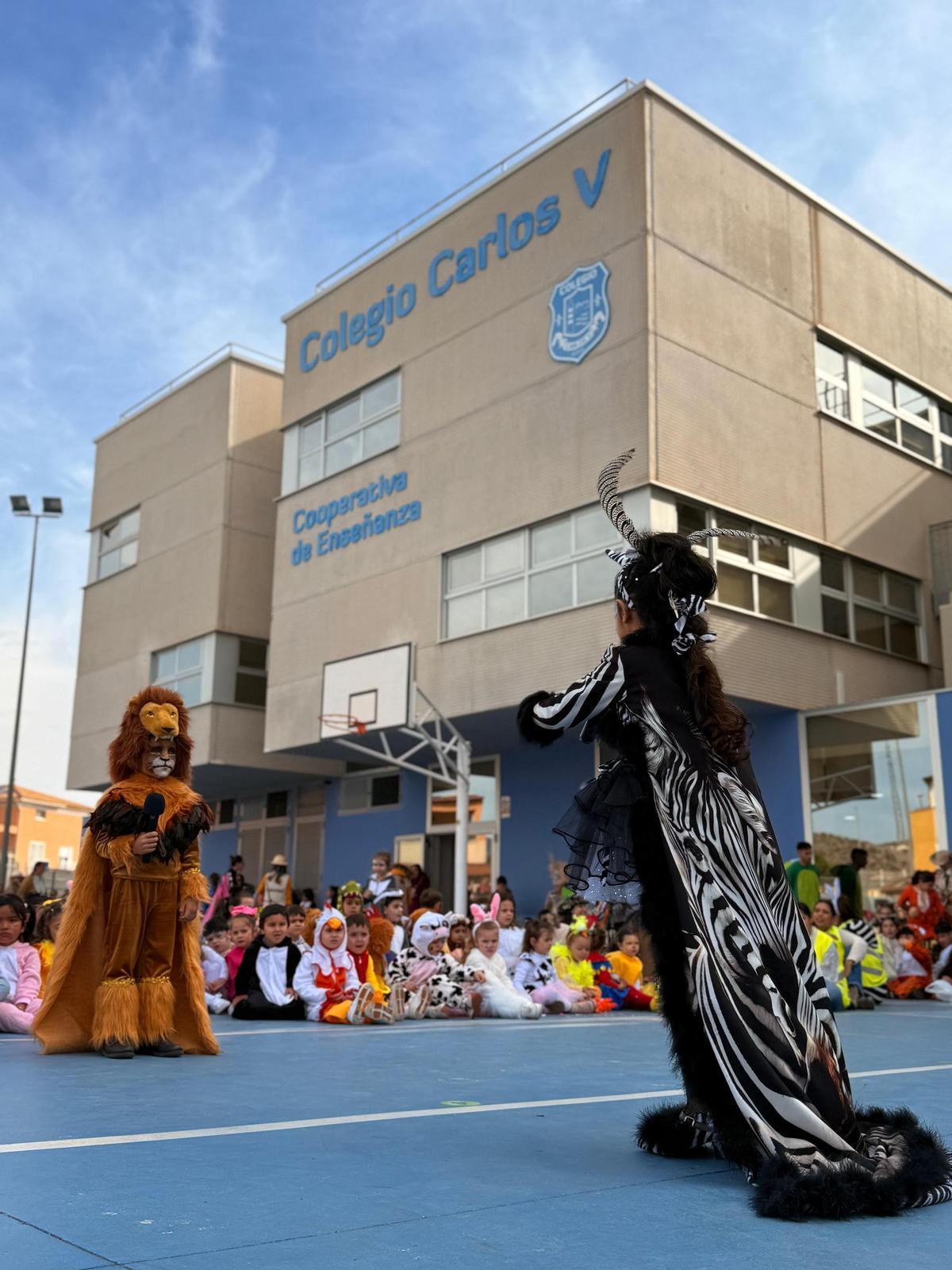 Carlos V dispone de una variada oferta de actividades extraescolares.