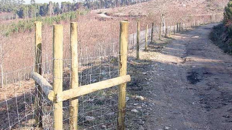 Estado de uno de los cinco cercos en los que se ubicarán los caballos salvajes.