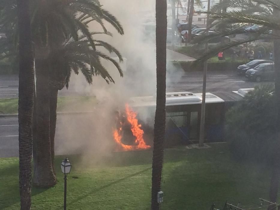 Se incendia un autobús de la EMT en pleno Paseo Sagrera de Palma