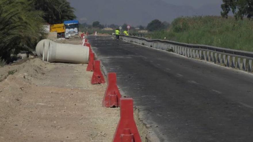 Aves cruzando hacia una de las zonas húmedas, obras de ampliación y ganado, en la misma carretera.