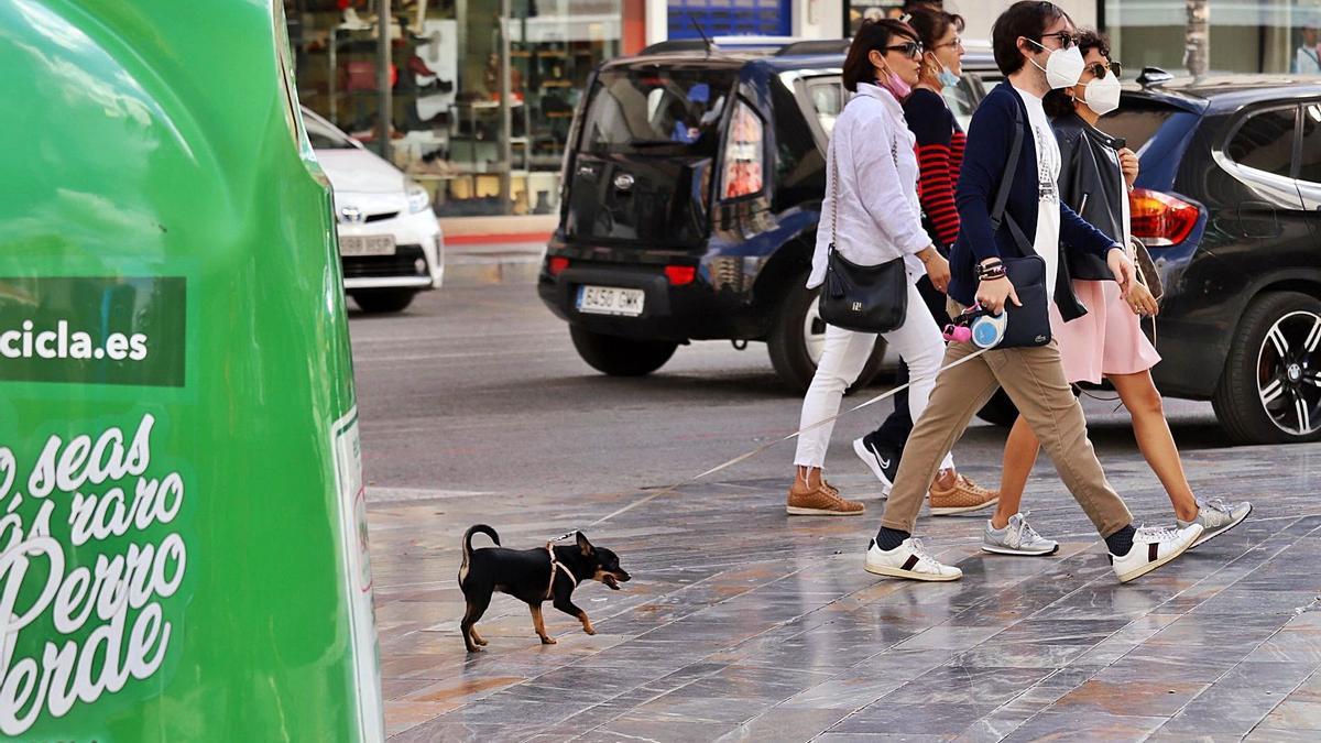 Un perro con sus dueños en una calle de Murcia.