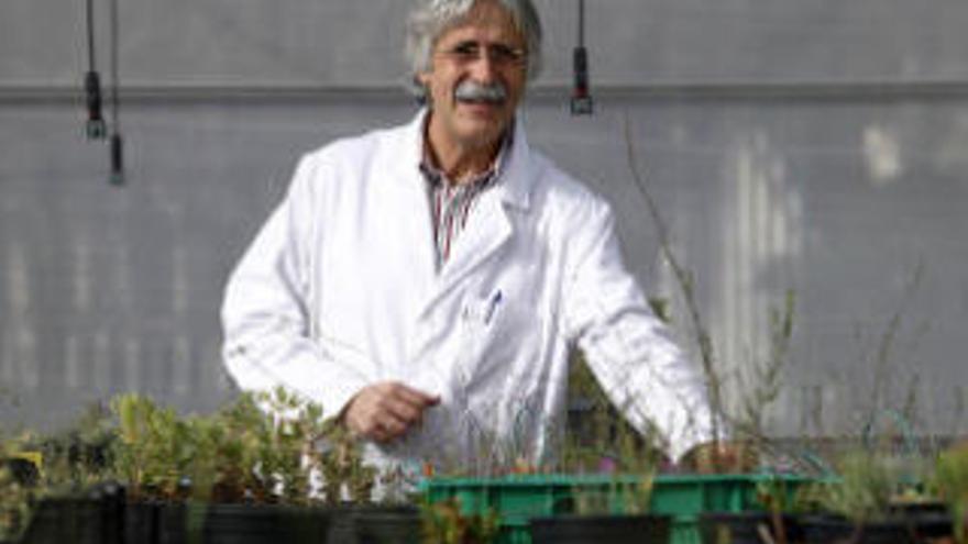 Mario Honrubia