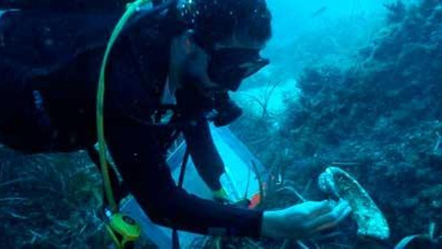 Uno de los arqueólogos observa el cuello de un ánfora romana del siglo III en un lugar sin determinar de los fondos de Formentera.