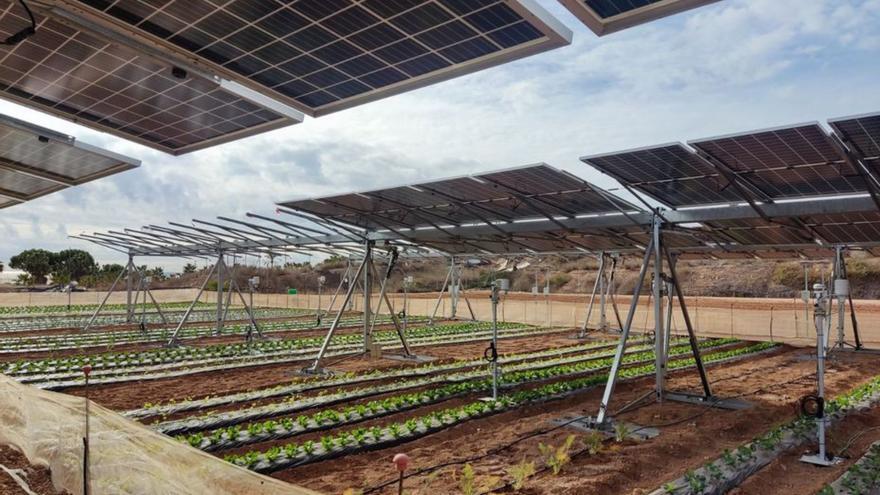 El Imida evalúa el potencial de la energía solar en cultivos