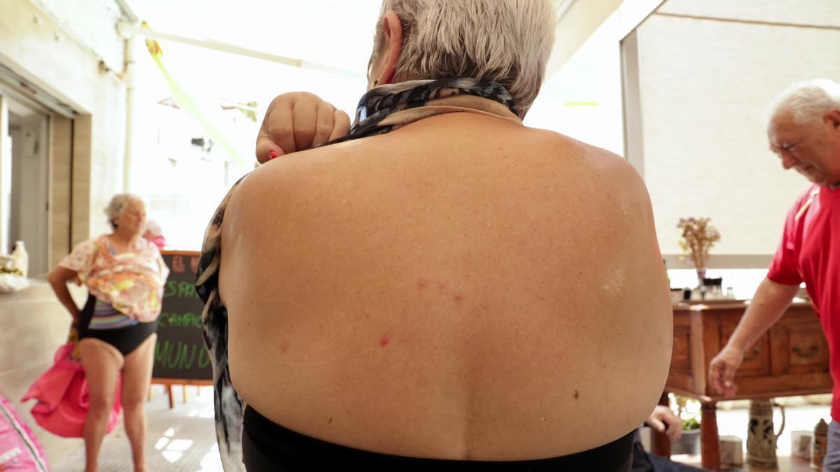 Los mosquitos invaden Urbanova