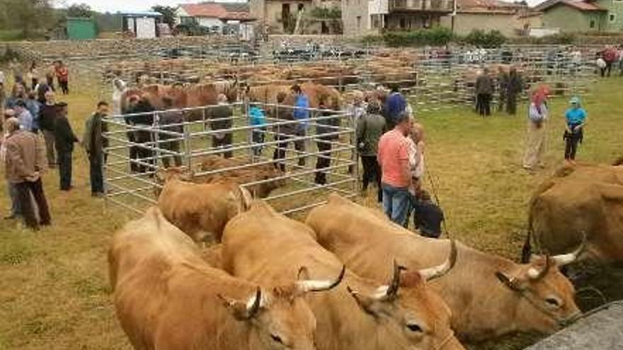 La feria, en una edición anterior.