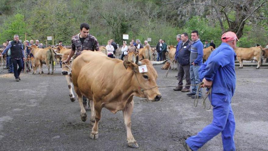 El jurado, calificando a una de las participantes .