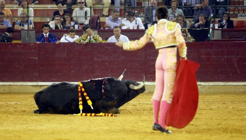 Novillada en la plaza de Toros